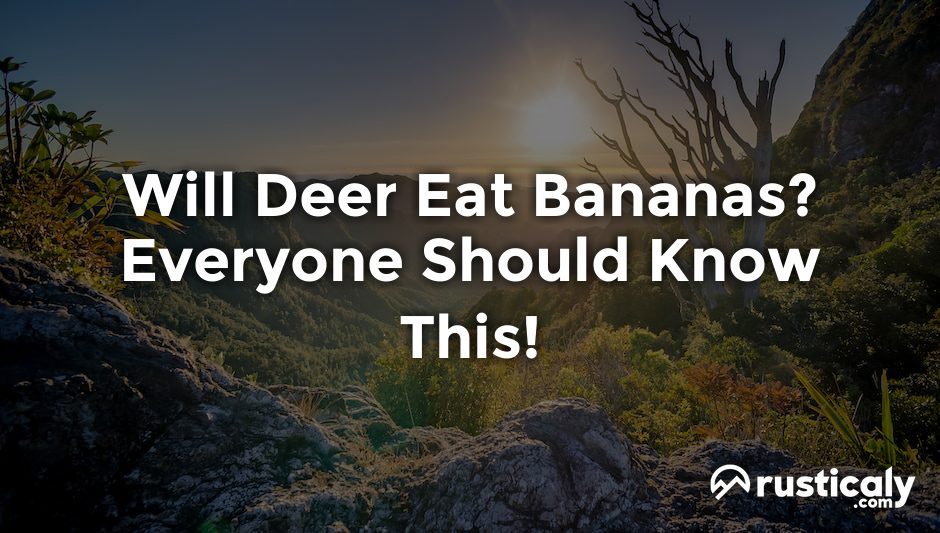 will deer eat bananas
