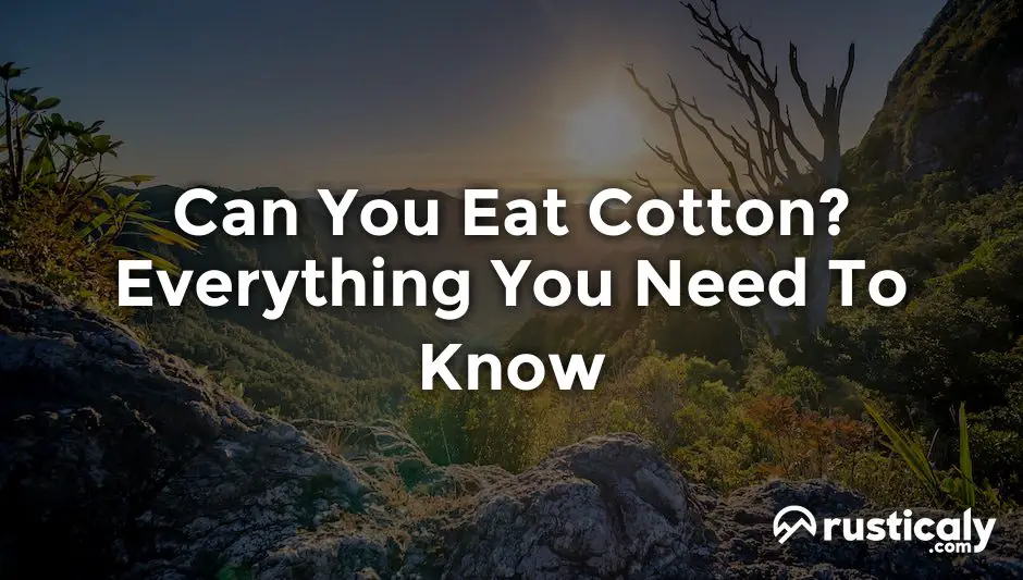 can you eat cotton