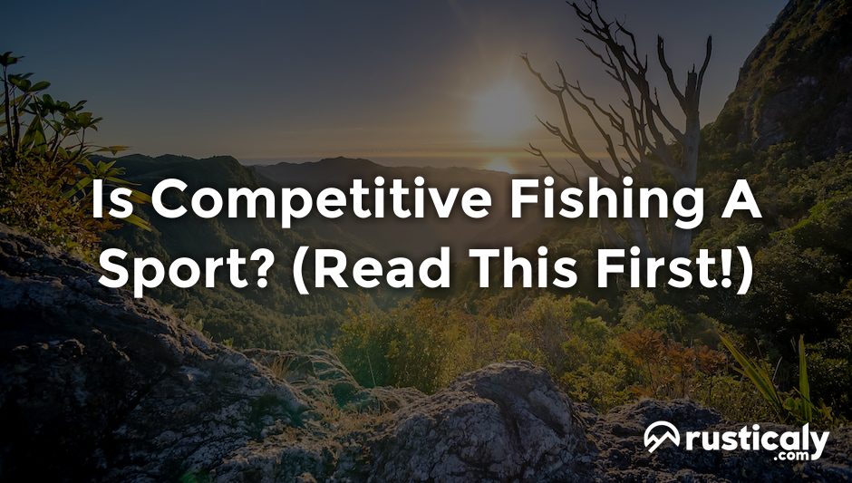 is competitive fishing a sport