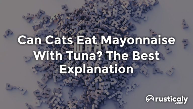 can cats eat mayonnaise with tuna