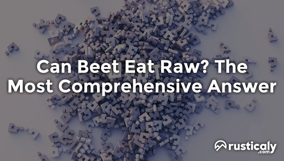 can beet eat raw