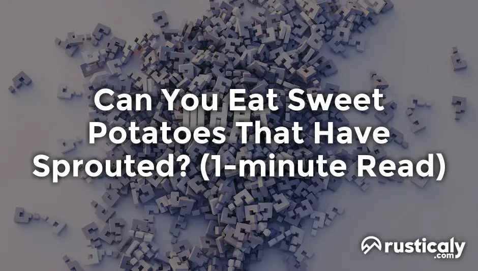 can you eat sweet potatoes that have sprouted