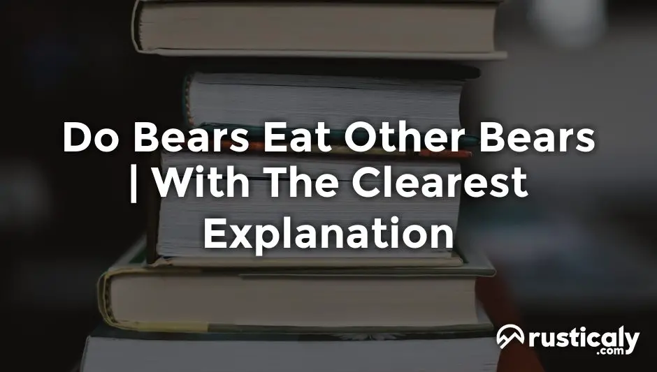 do bears eat other bears