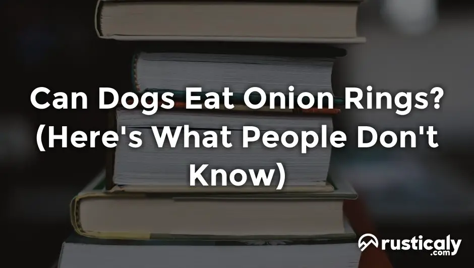 can dogs eat onion rings