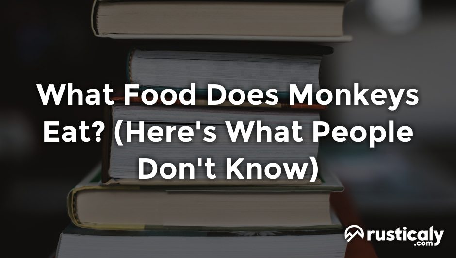 what food does monkeys eat