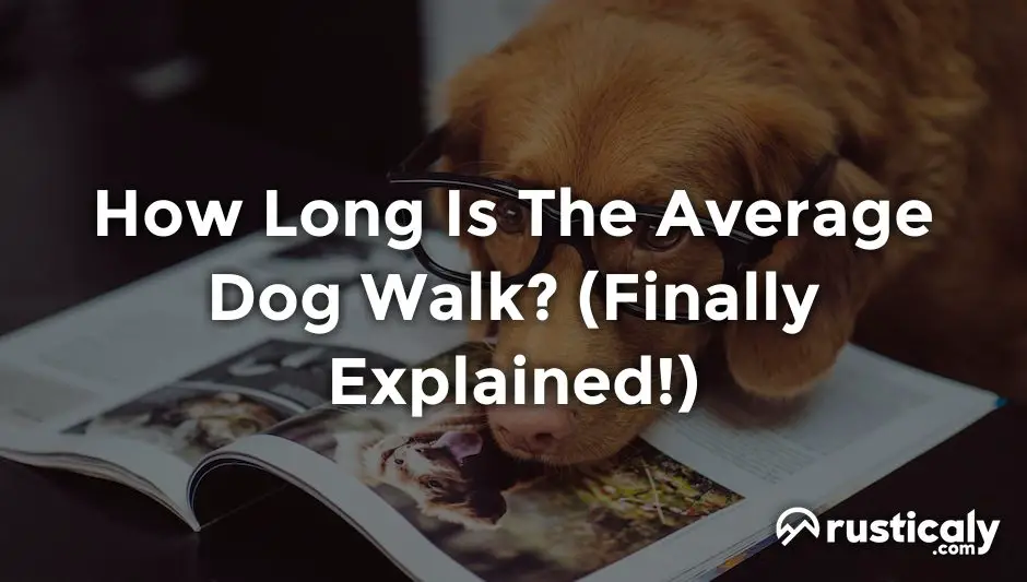 how long is the average dog walk