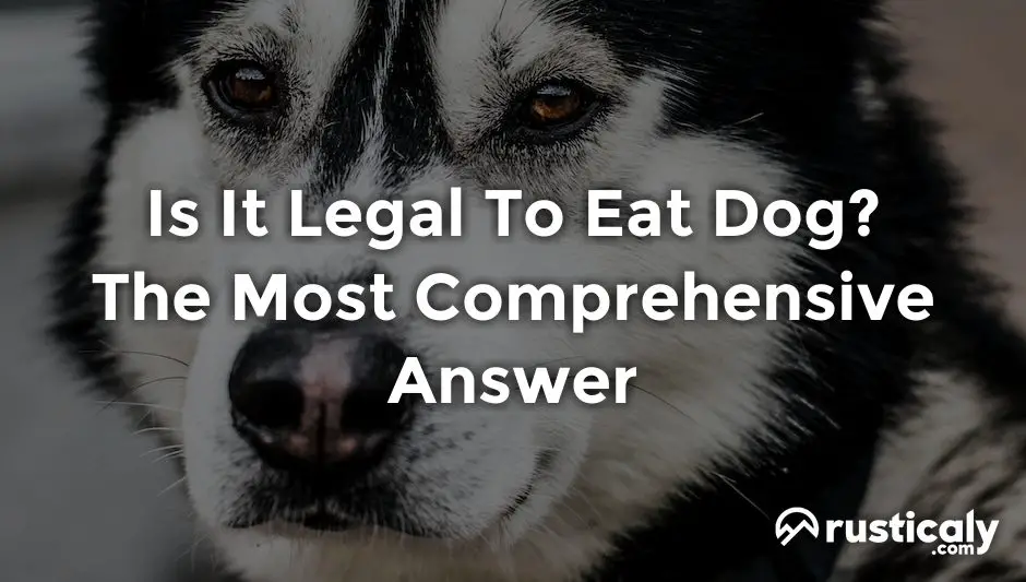 is it legal to eat dog