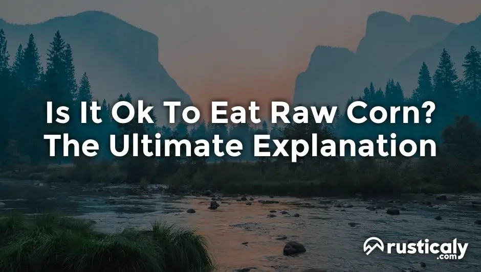 is it ok to eat raw corn