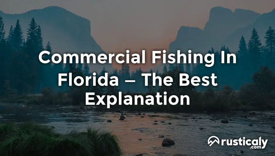 commercial fishing in florida