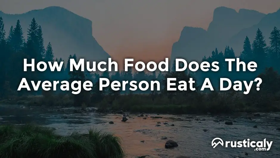 how much food does the average person eat a day