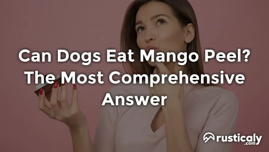 can dogs eat mango peel