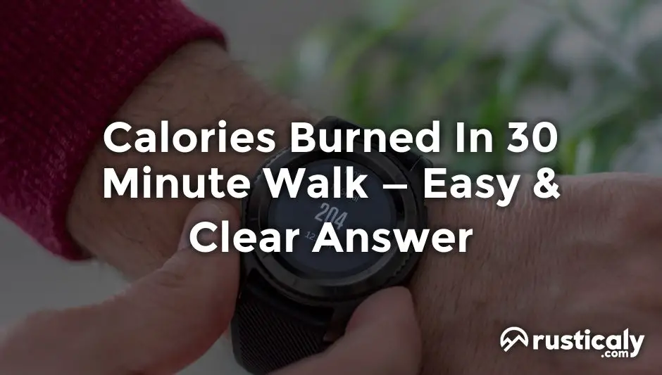 calories burned in 30 minute walk