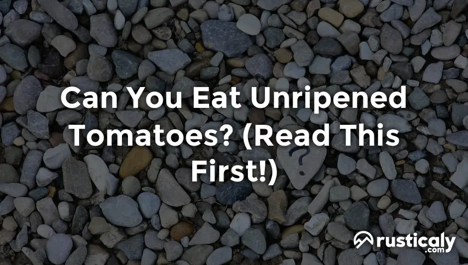 can you eat unripened tomatoes