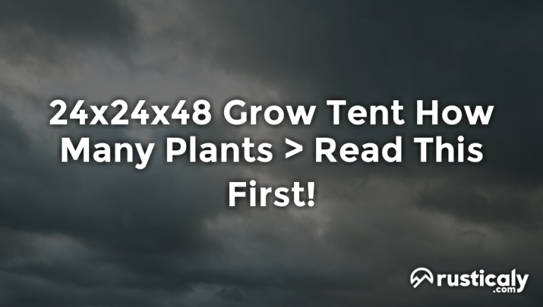 24x24x48 grow tent how many plants