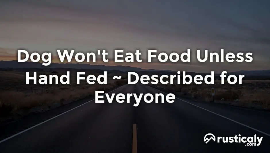 Dog Won t Eat Food Unless Hand Fed Finally Explained dog-won-t-eat-food-unless-hand-fed-finally-explained