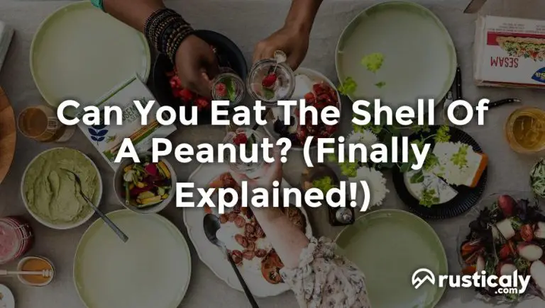Can You Eat The Shell Of A Peanut? (Explained for Beginners)