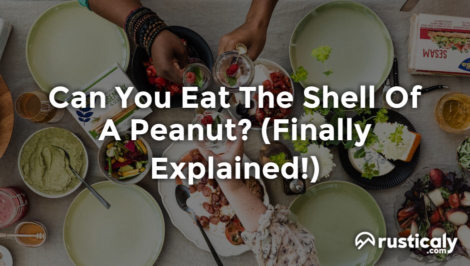 can you eat the shell of a peanut