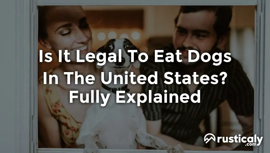is it legal to eat dogs in the united states