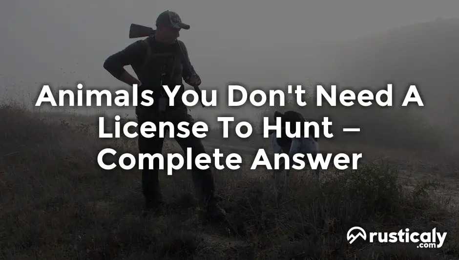 animals you don't need a license to hunt