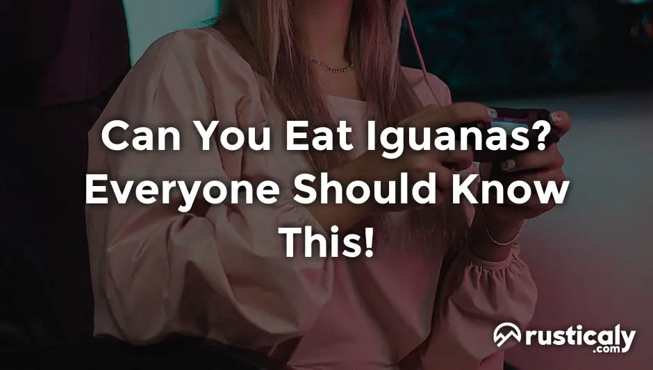 can you eat iguanas