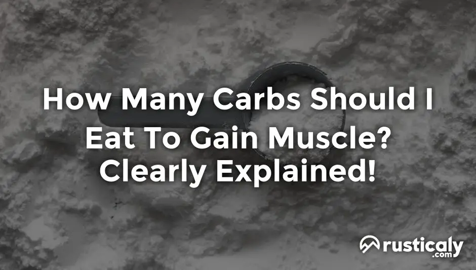 how many carbs should i eat to gain muscle