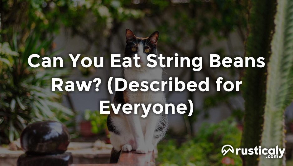 can you eat string beans raw
