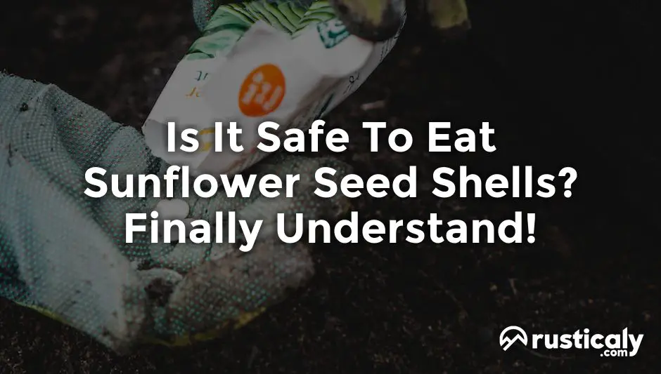 is it safe to eat sunflower seed shells