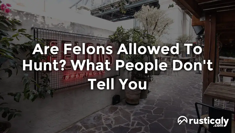 are felons allowed to hunt