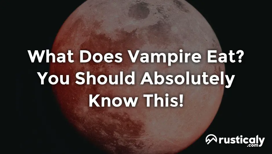 what does vampire eat