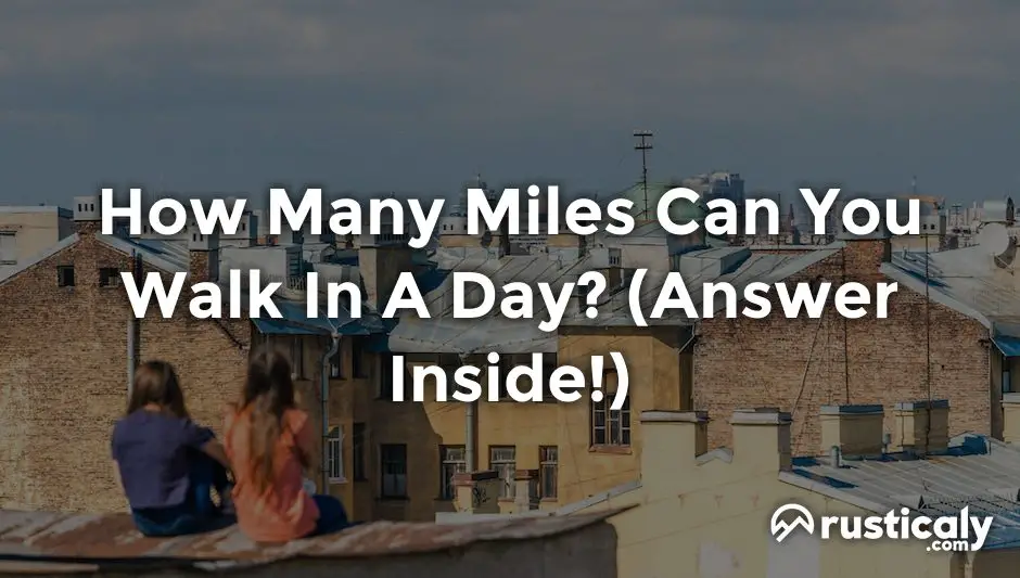 how many miles can you walk in a day