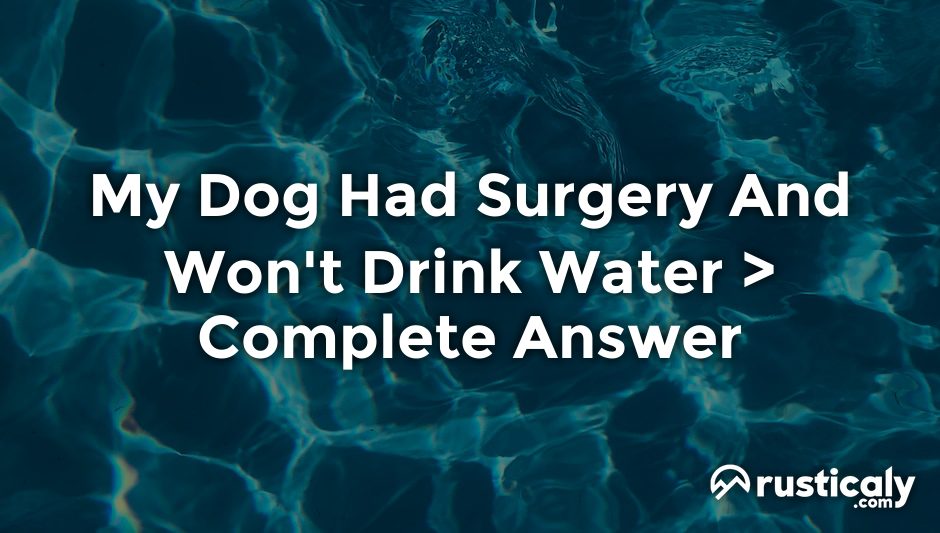 my dog had surgery and won't drink water
