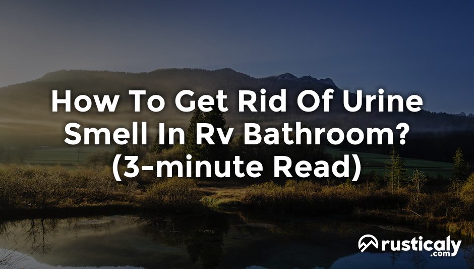 how to get rid of urine smell in rv bathroom
