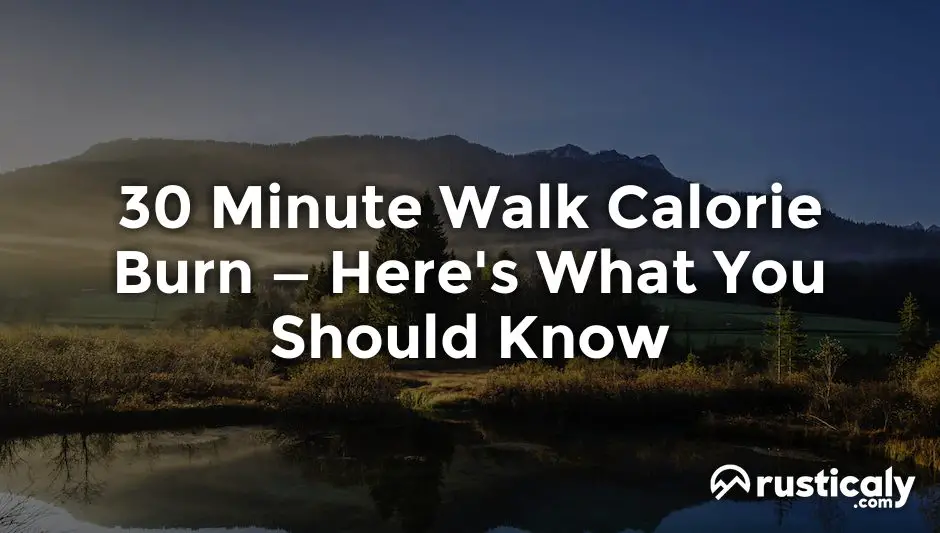 30 minute walk calorie burn