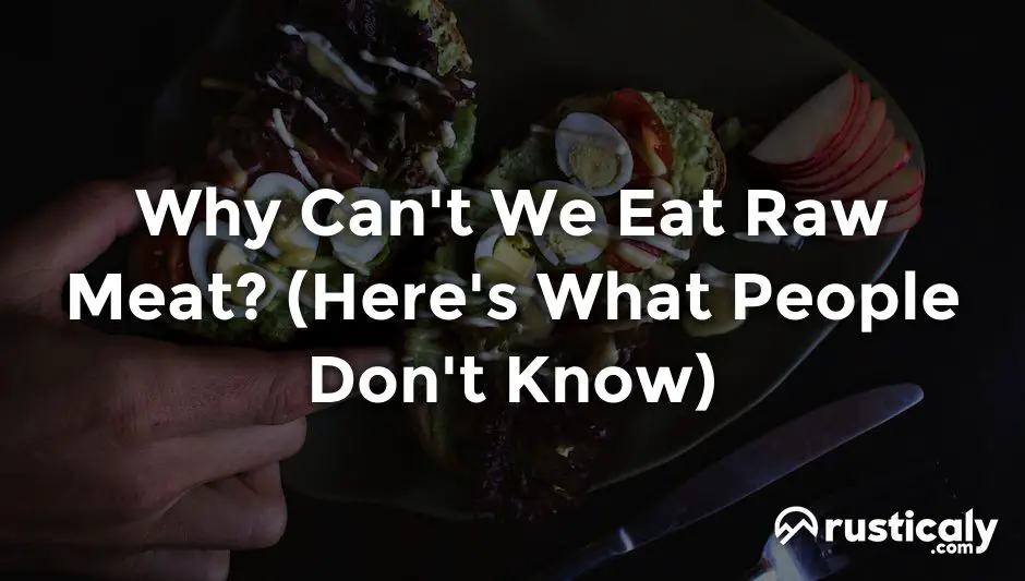 why can't we eat raw meat