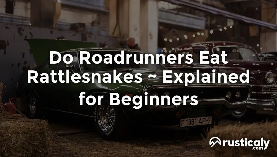 do roadrunners eat rattlesnakes