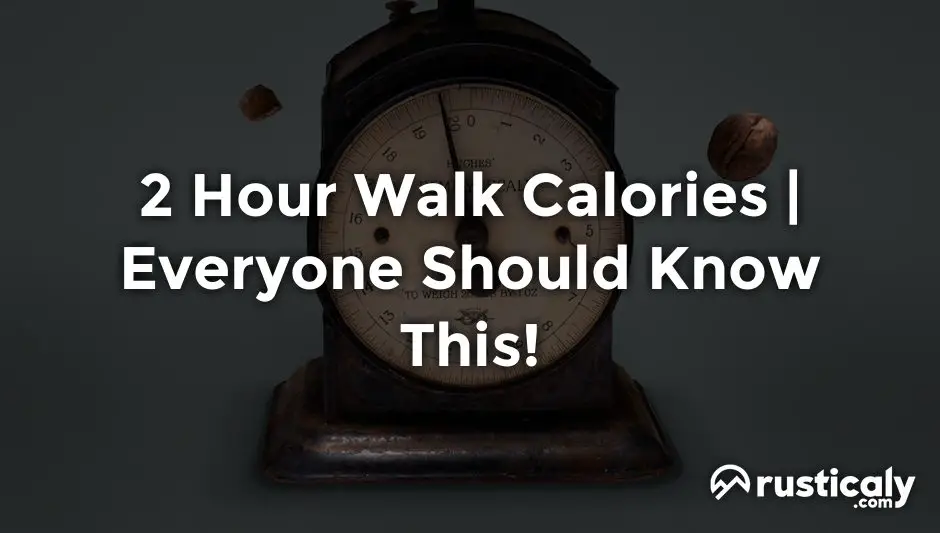 2 hour walk calories