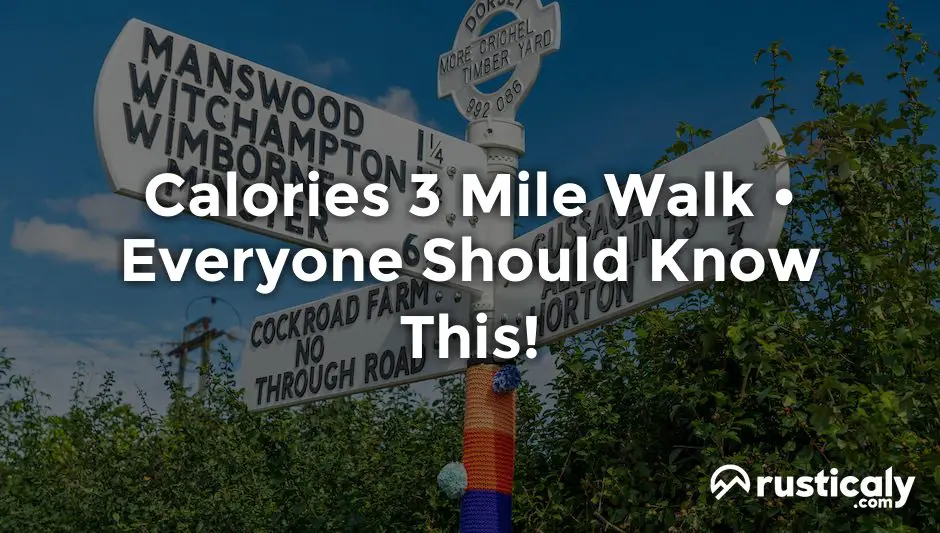 calories 3 mile walk