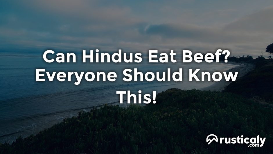 can hindus eat beef