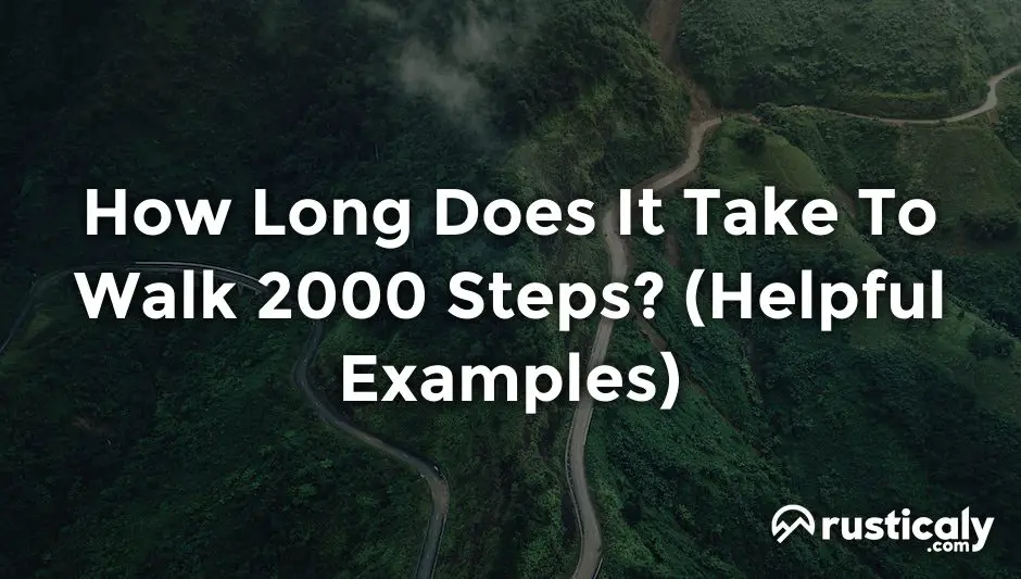 how long does it take to walk 2000 steps