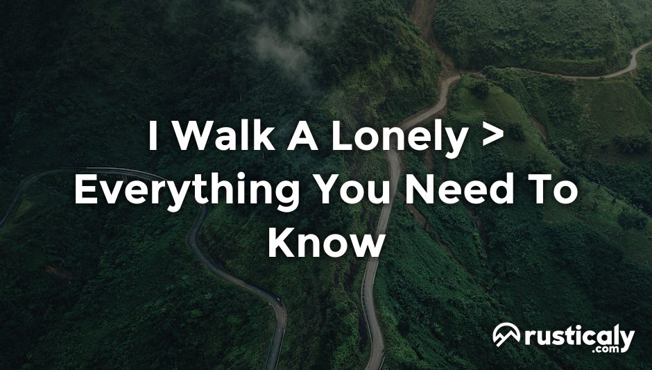 i walk a lonely