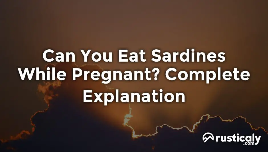 can you eat sardines while pregnant