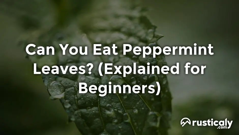 can you eat peppermint leaves