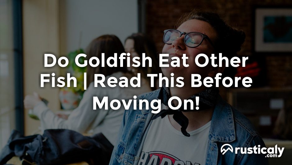 do goldfish eat other fish