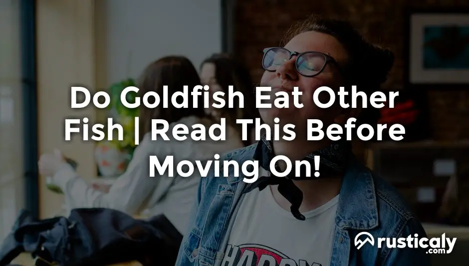 do goldfish eat other fish