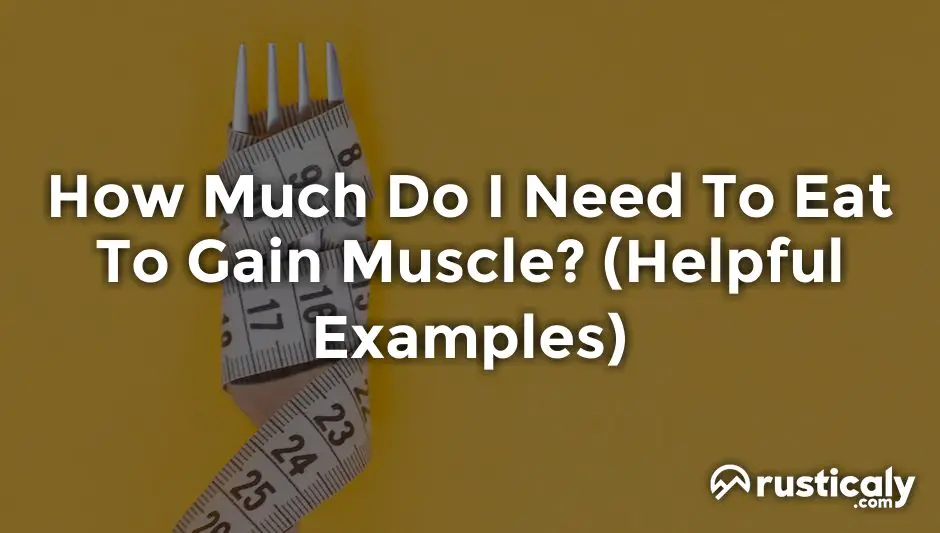 how much do i need to eat to gain muscle