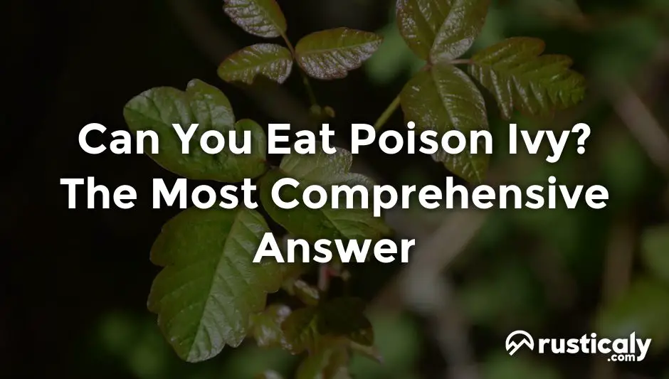 can you eat poison ivy