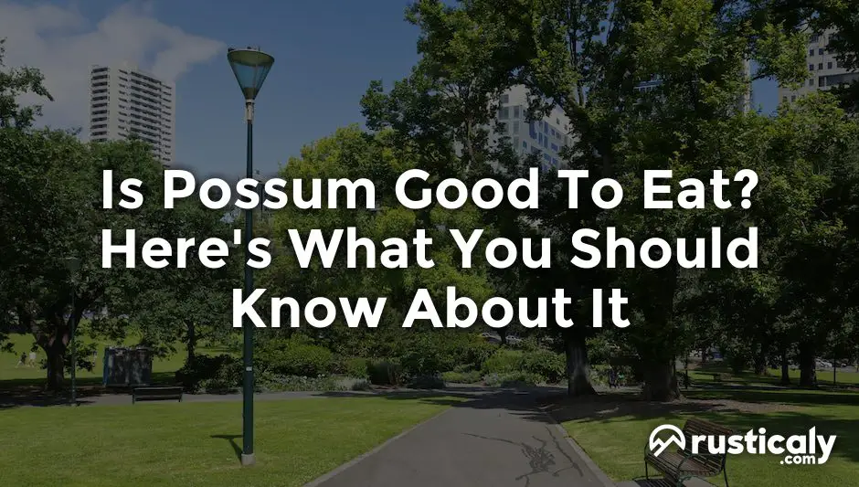 is possum good to eat