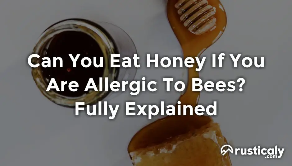 can you eat honey if you are allergic to bees
