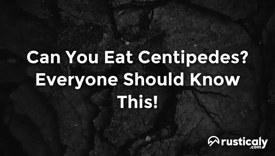 can you eat centipedes