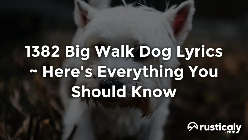 1382 big walk dog lyrics